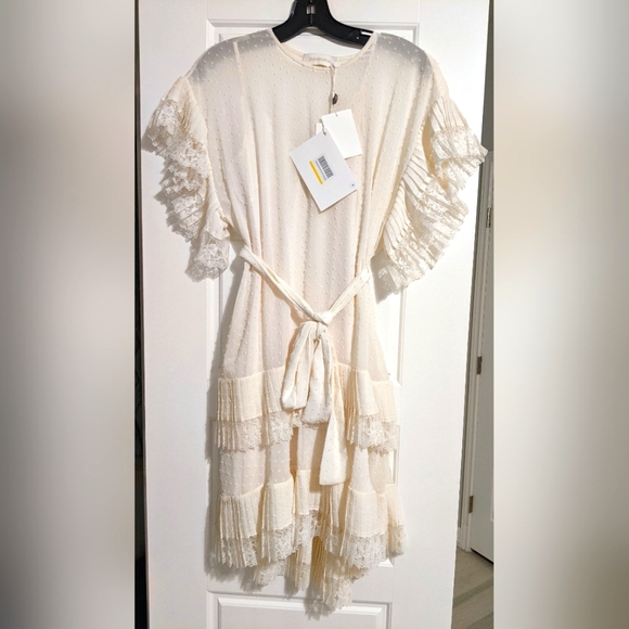 Zimmermann Dresses & Skirts - Zimmermann Espionage Pleat Frill Lace-trimmed Swiss-dot Dress